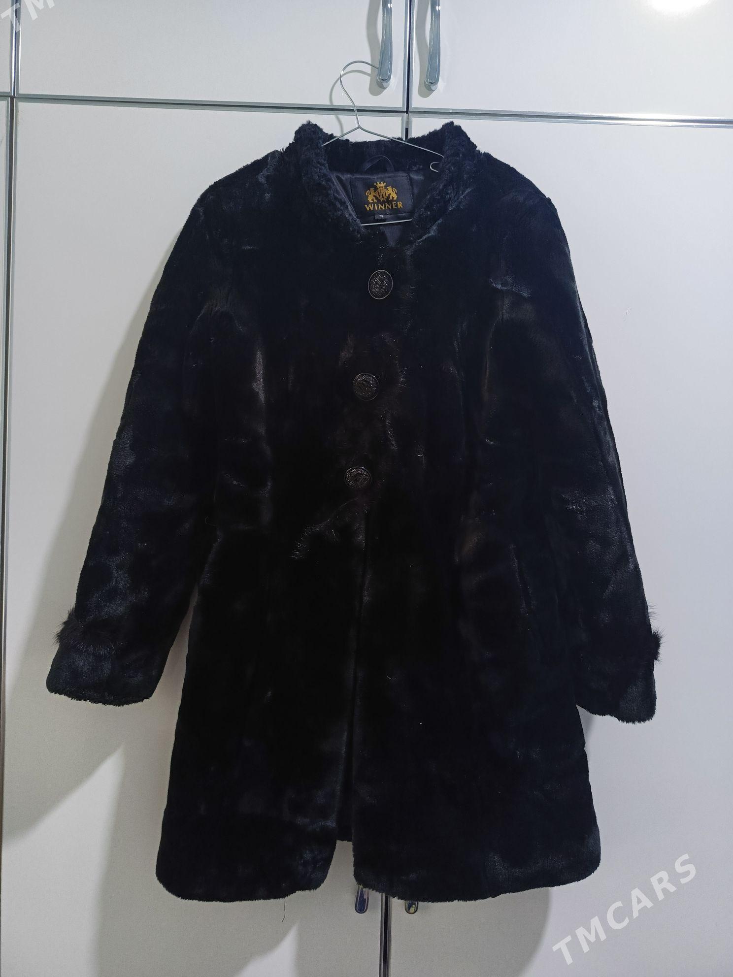 Şuba - Balkanabat - img 2