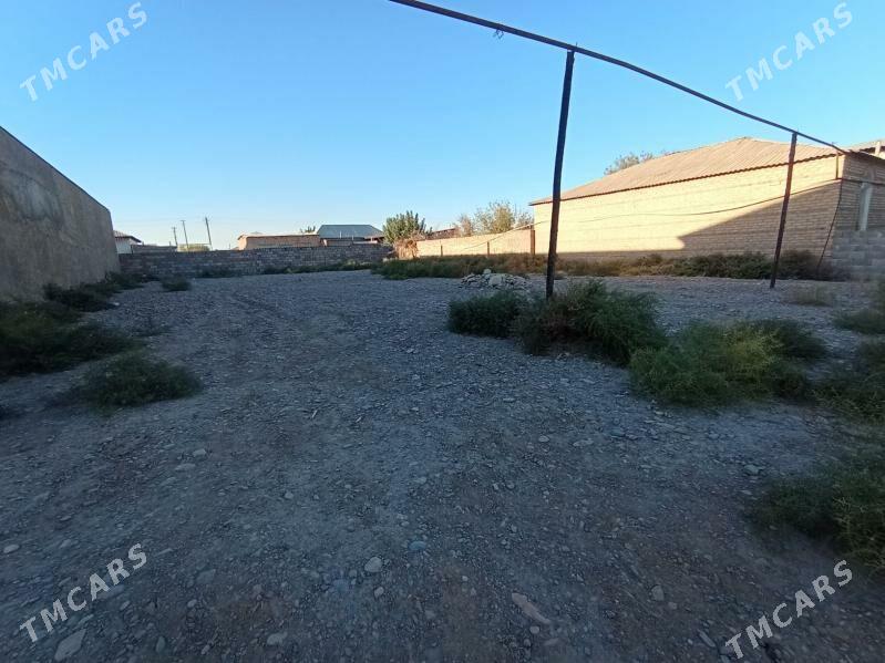 Mellek yer - Tejen - img 2