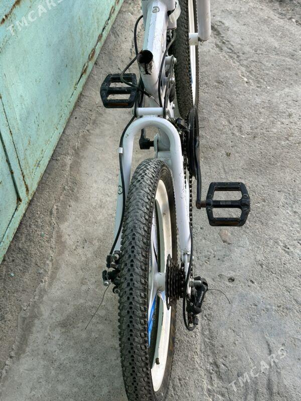 welik - Türkmenbaşy - img 3