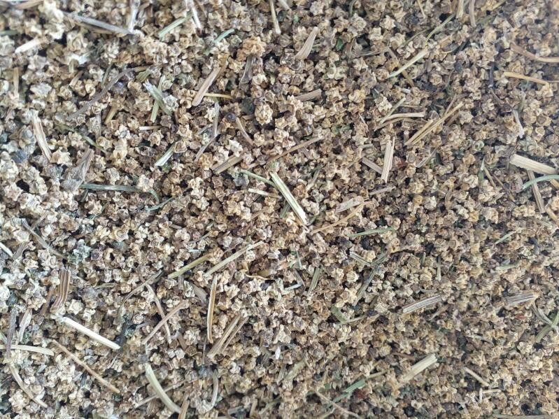 Şugunnur - Бахарден - img 5