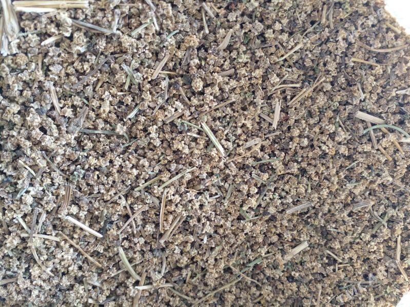 Şugunnur - Бахарден - img 4