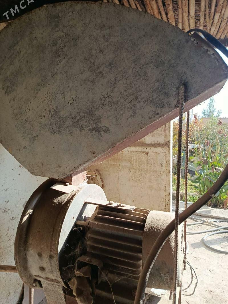 DANE ÜWEYAN - Чарджоу - img 3