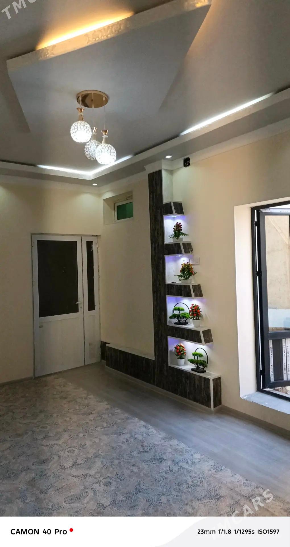 Satlyk jay - Jebel - img 10