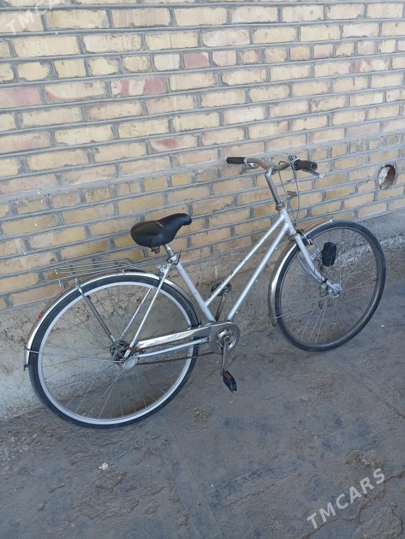 Welik 27 lik - Mary - img 3