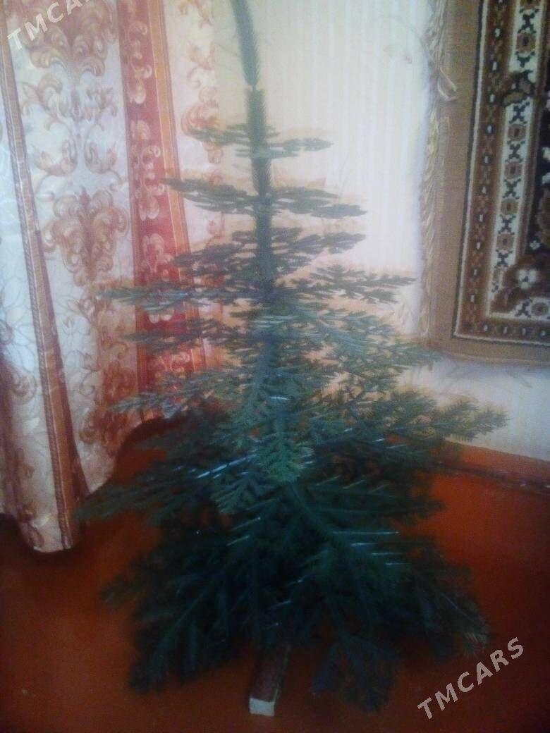 Ёлка - Daşoguz - img 2