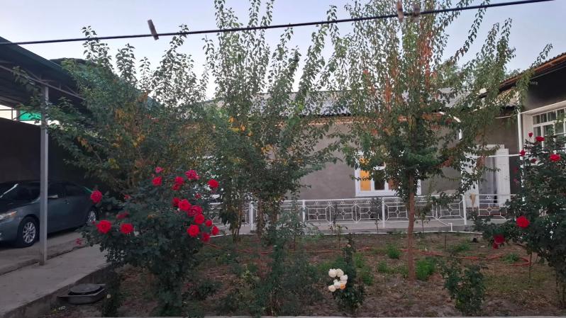 satlyk jay - Türkmenbaşy etr. - img 10