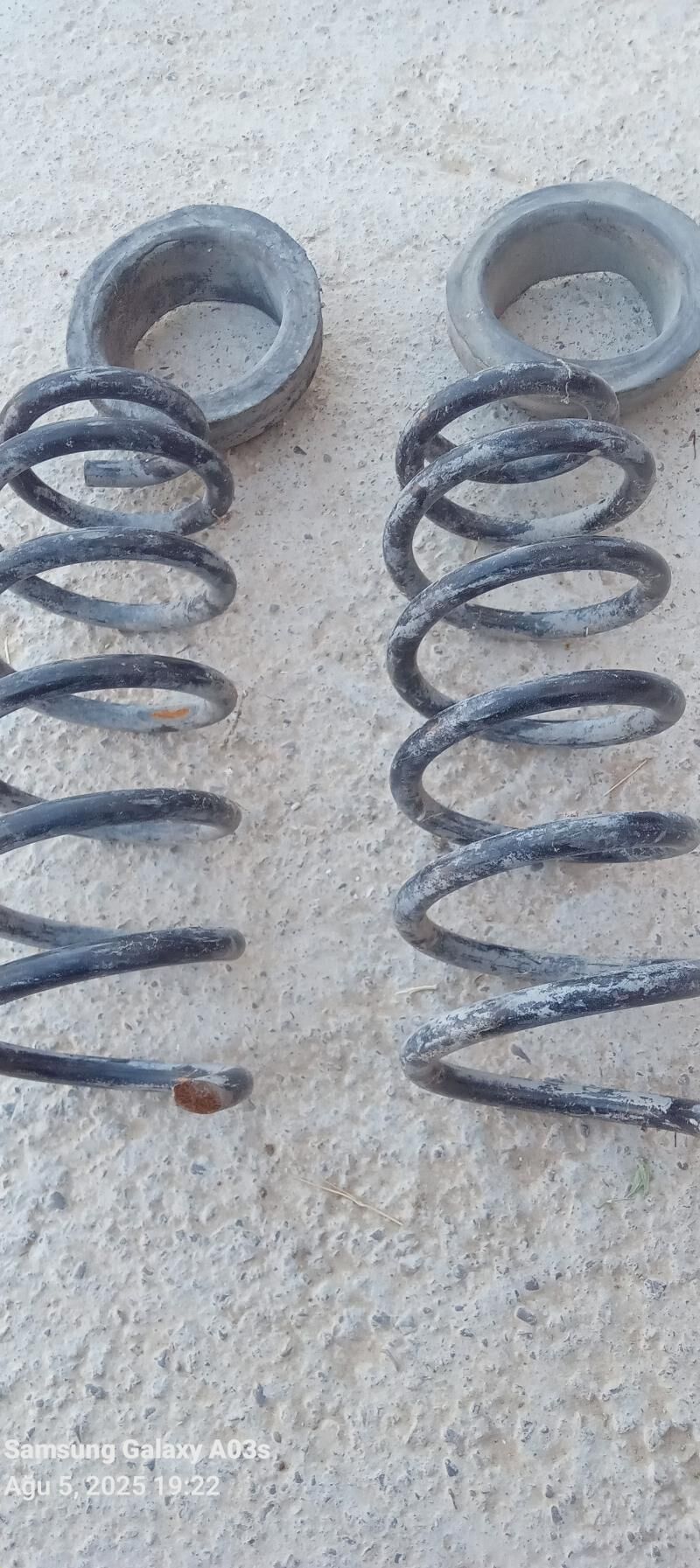 Pürjin 100 TMT - Çoganly - img 2