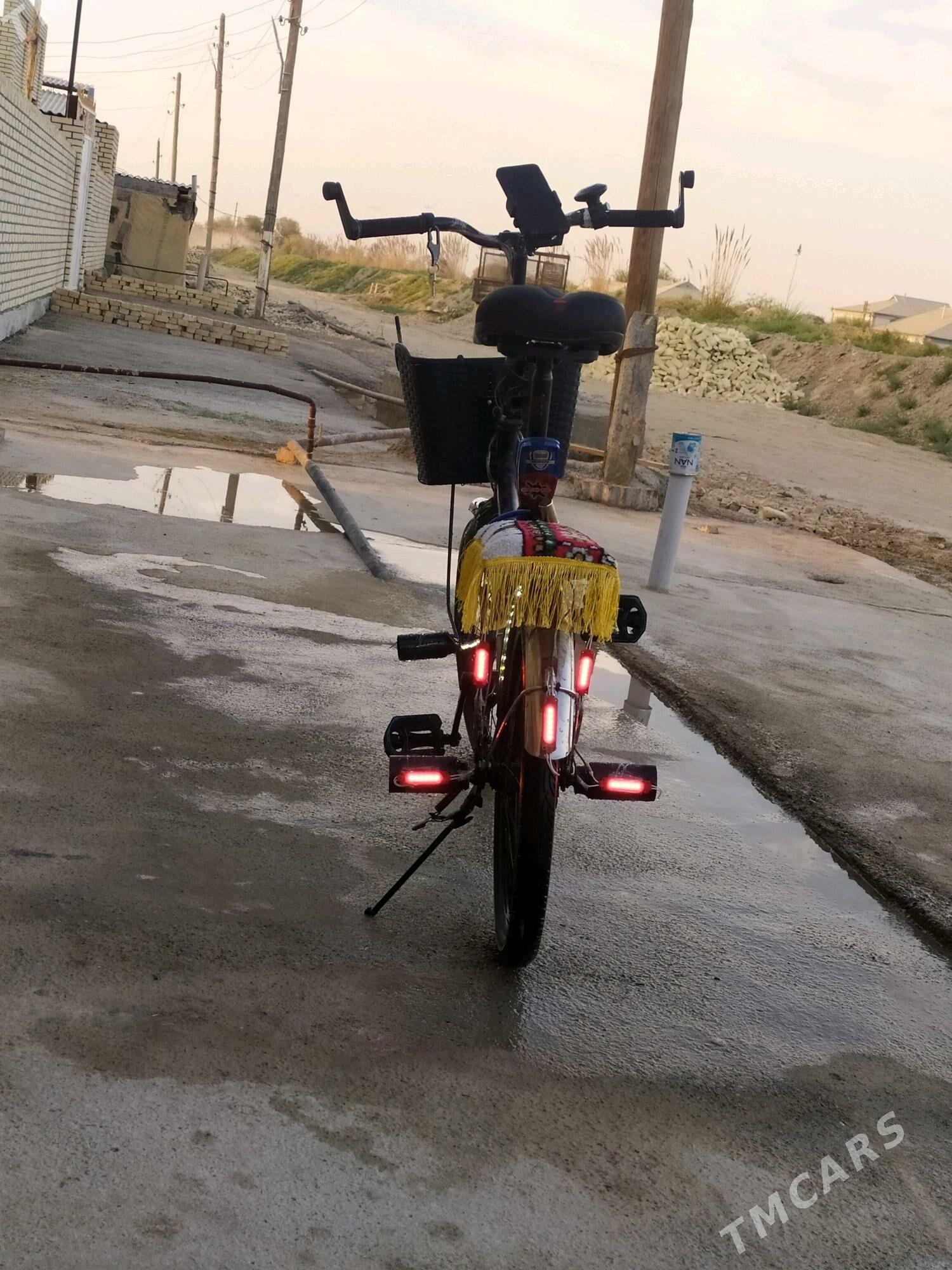 welispet - Wekilbazar - img 2