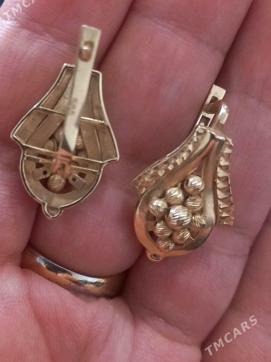 Gyzyl gulakhalka - Ашхабад - img 2