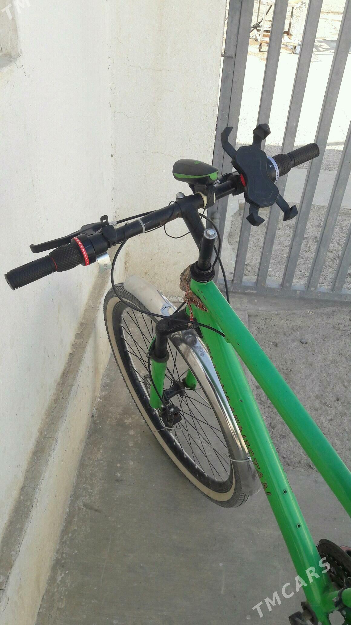 Turkmenistan tigir - Бахарден - img 3