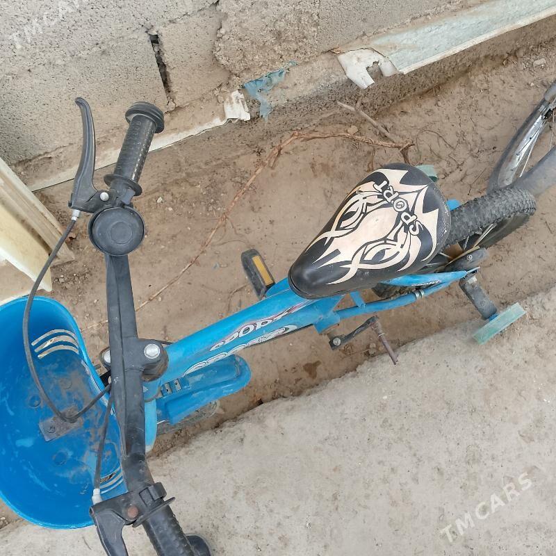 welsiped tigir - Bekrewe - img 2