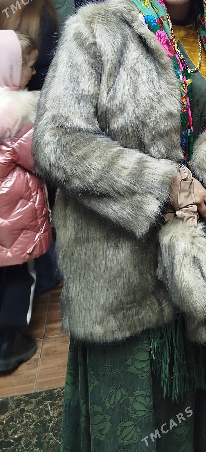 şuba - Türkmenbaşy - img 2