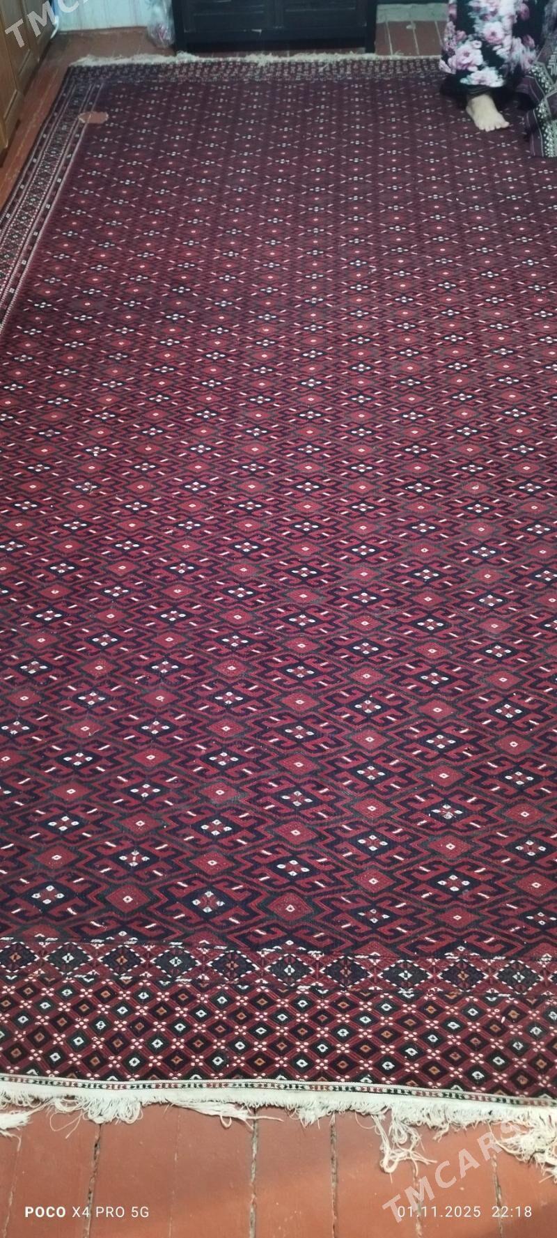 palas - Balkanabat - img 2