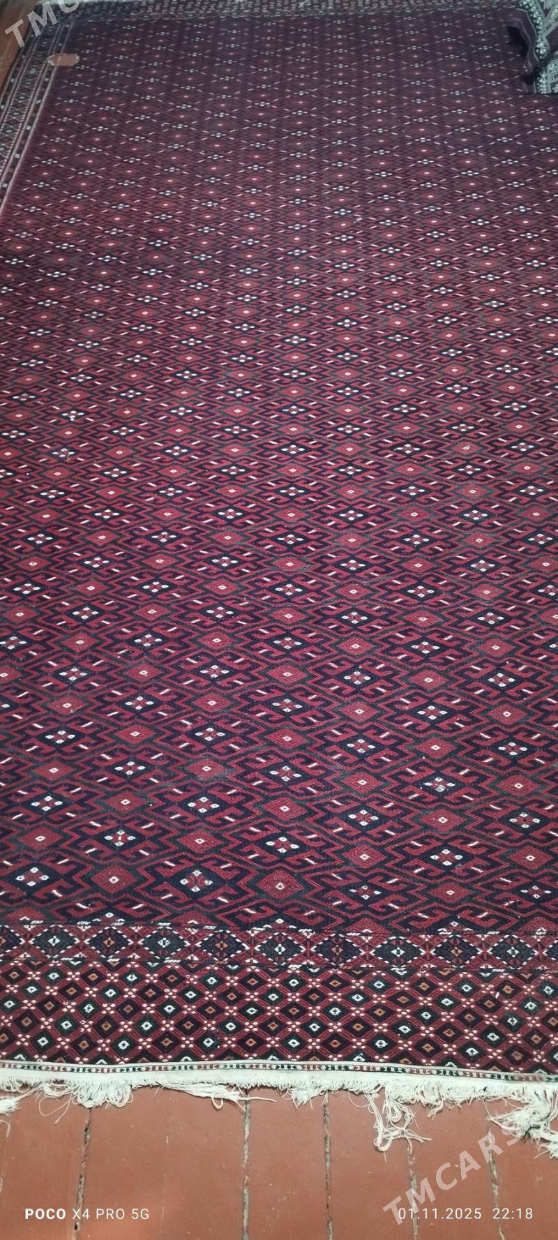 palas - Balkanabat - img 1