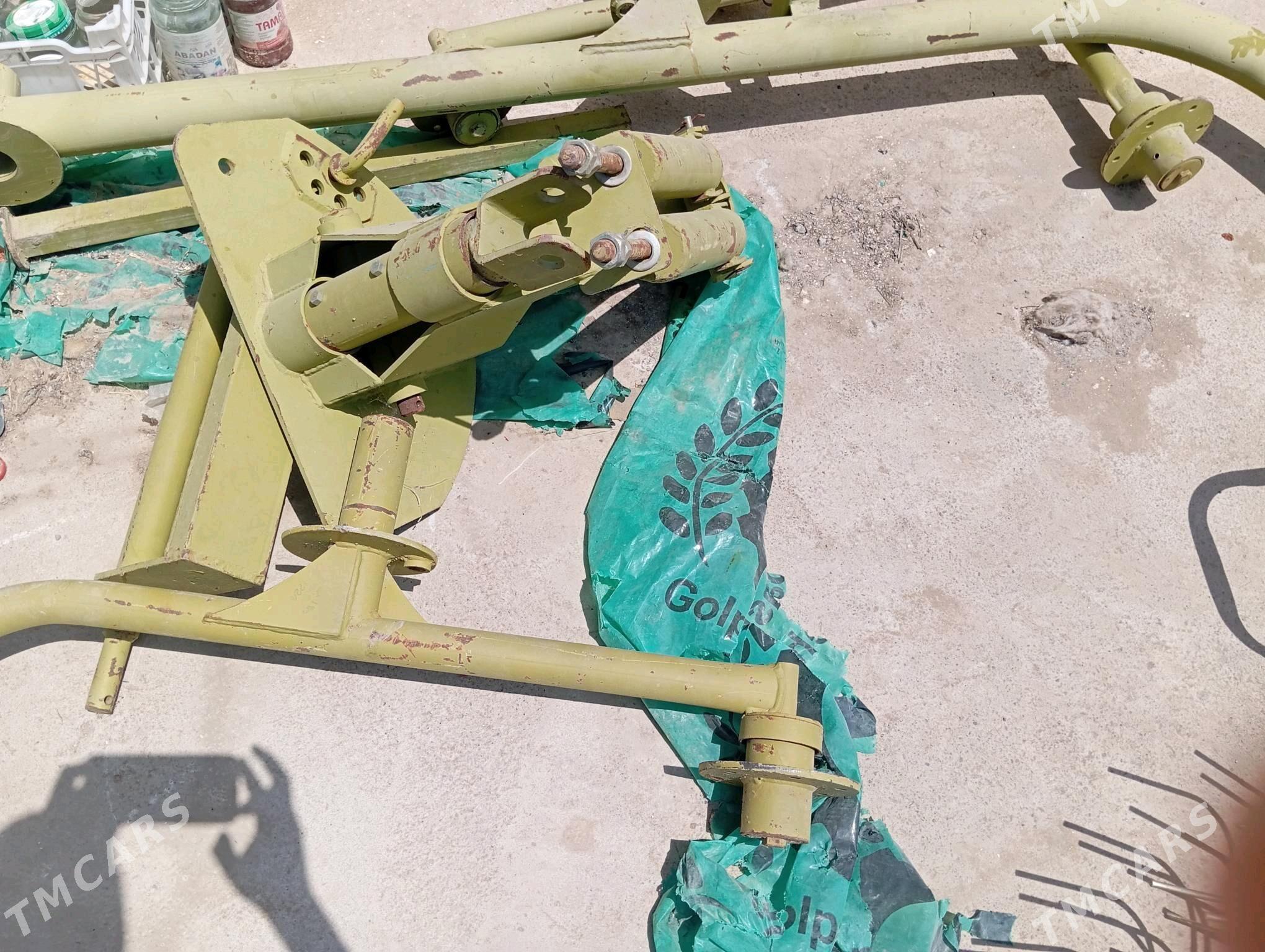 Dyrmyk walok edýä - Ak bugdaý etraby - img 3