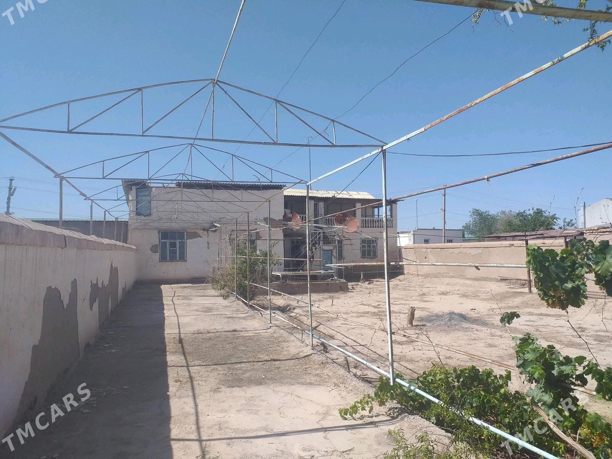 DAÇA - Daşoguz - img 4