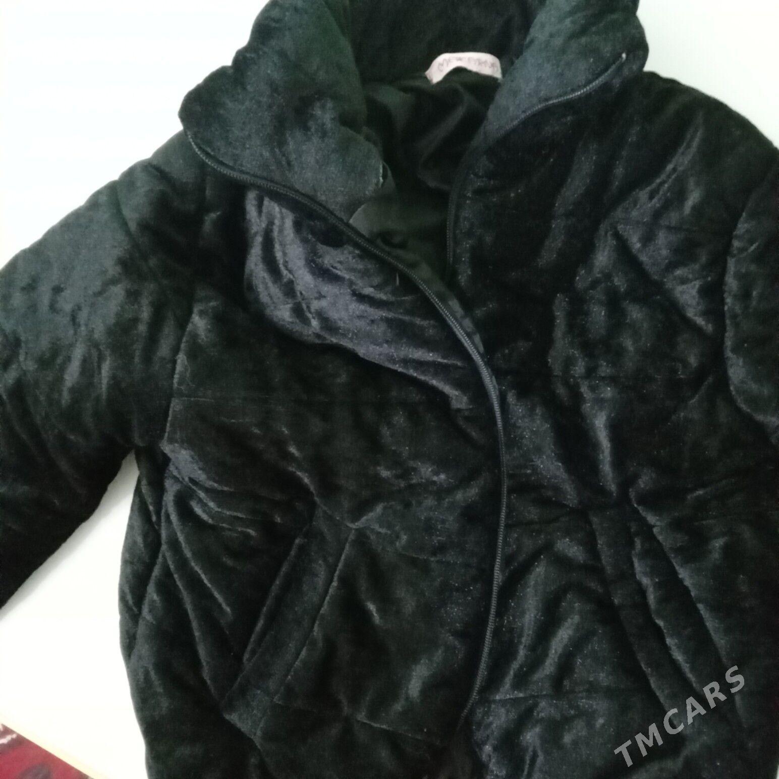 suba - Daşoguz - img 2