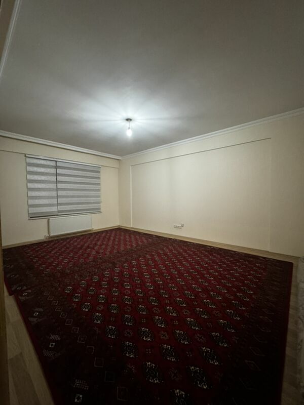 SATLYK GURTLY.2017 ÝYL.. - Aşgabat - img 4