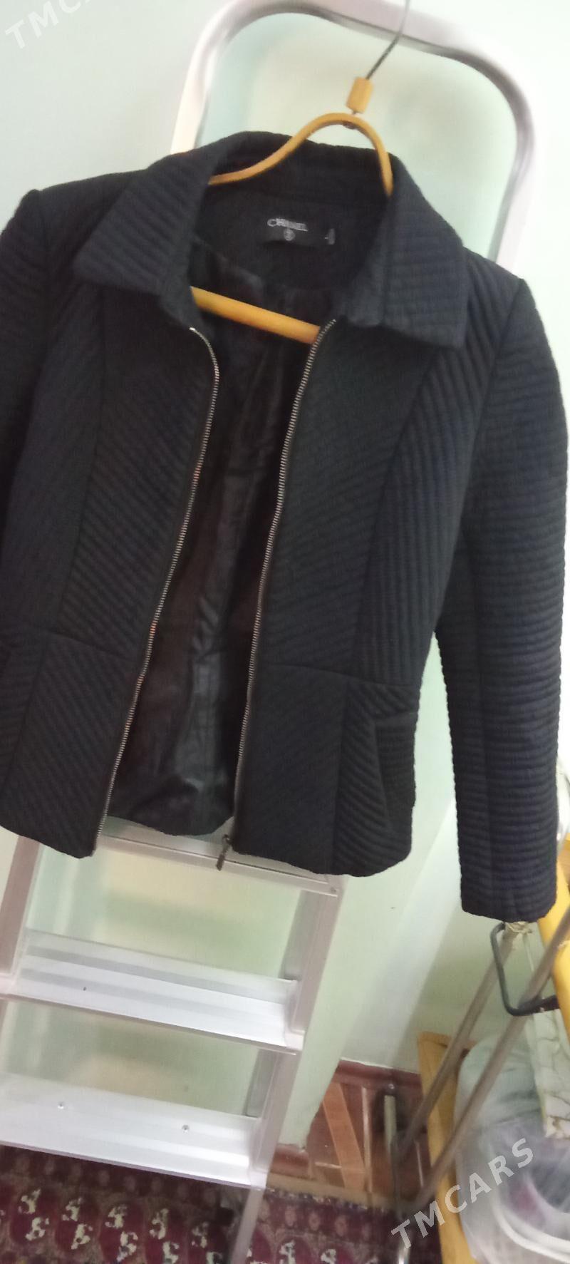 куртки - Daşoguz - img 2