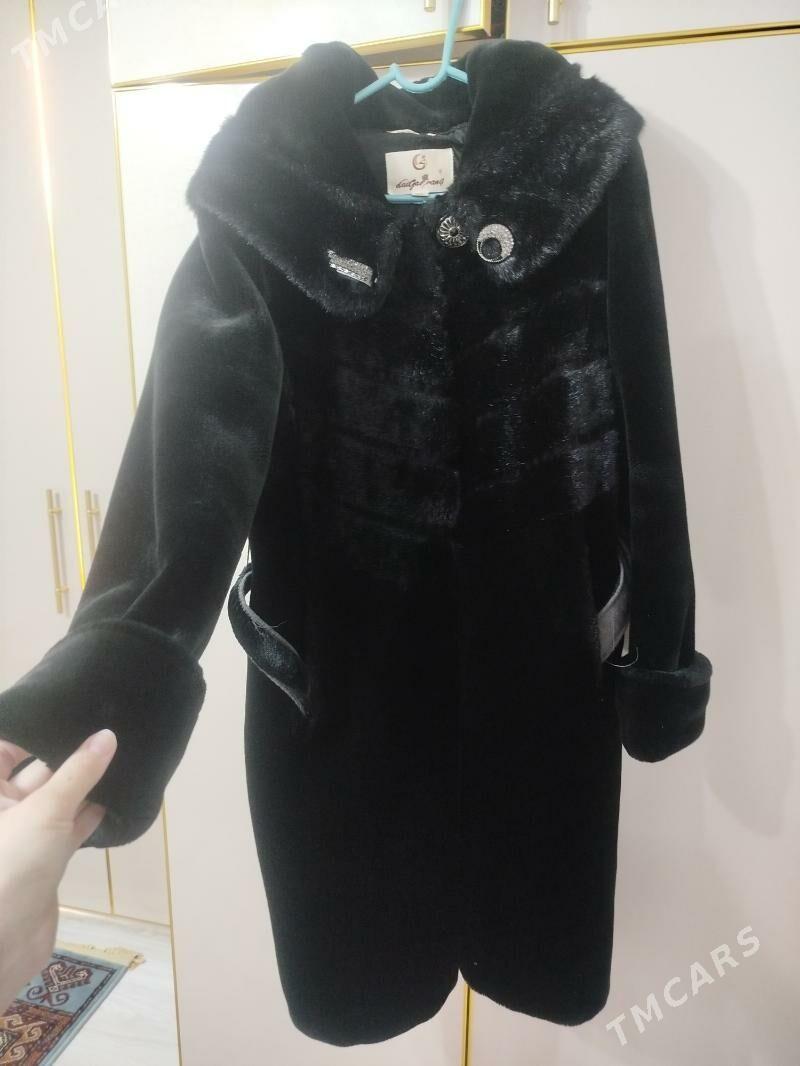 Şuba - Balkanabat - img 2