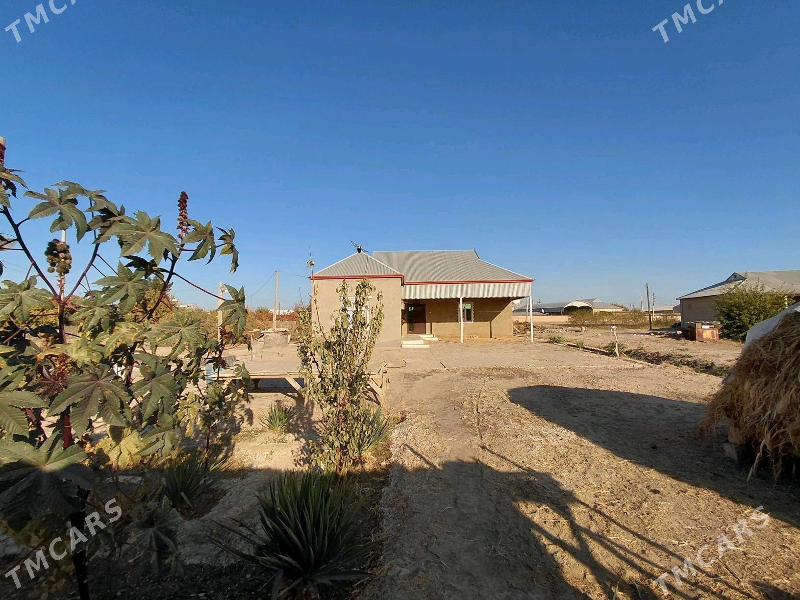 satlyk yer jayy - Векильбазар - img 2