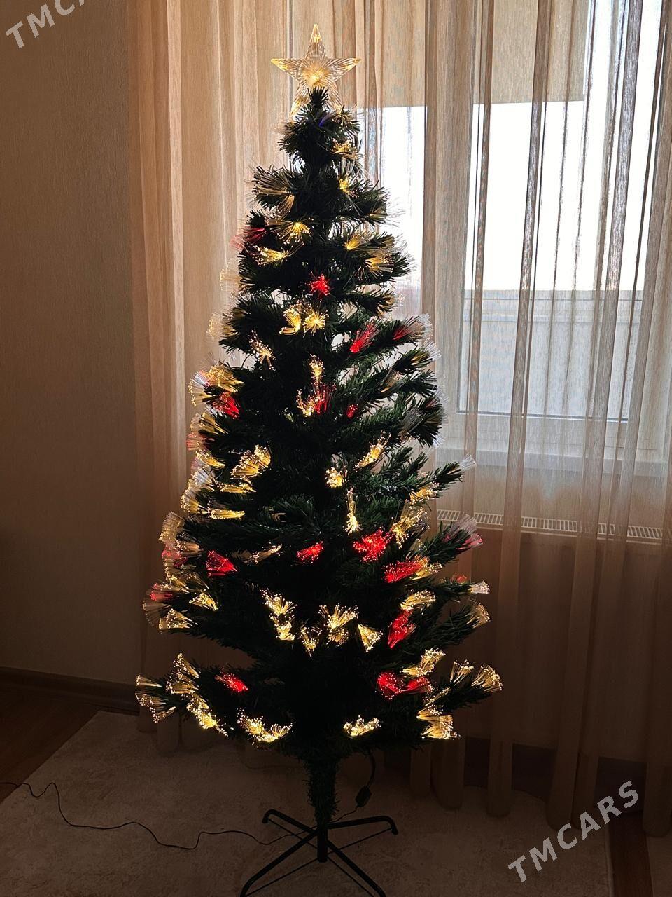 елка - Ашхабад - img 4