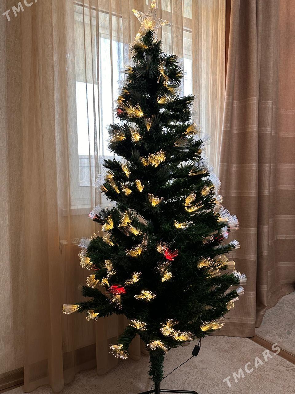 елка - Ашхабад - img 6