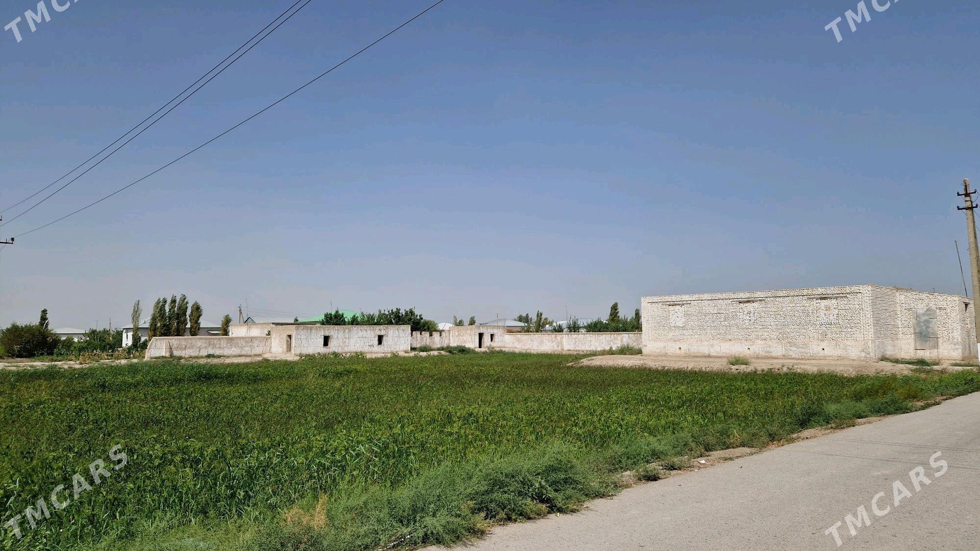 Jay mellek yer - Şabat etr. - img 4