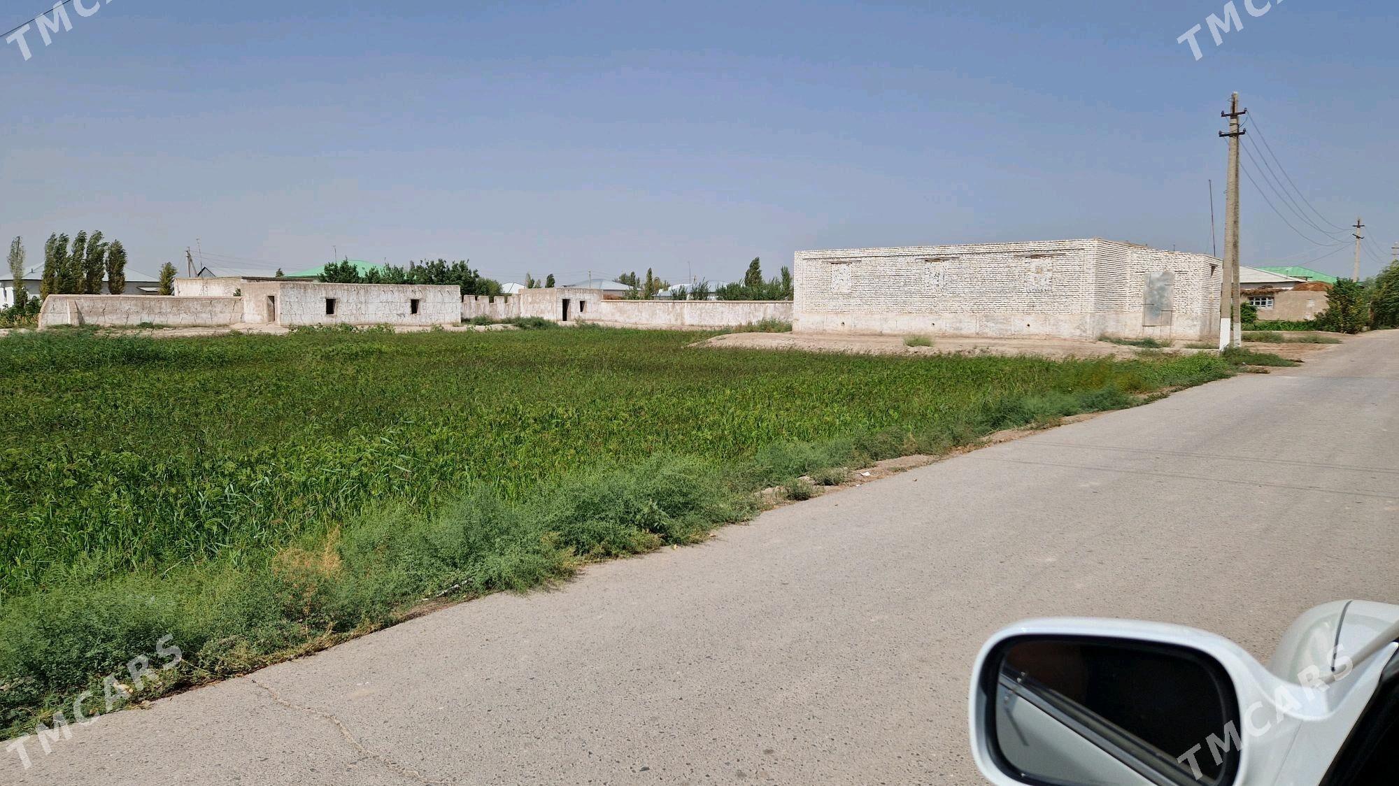 Jay mellek yer - Şabat etr. - img 5