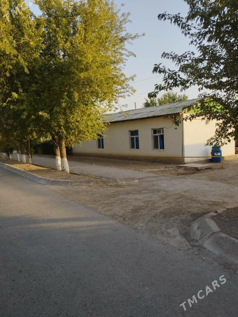 jaý satlyk - Babadaýhan - img 1