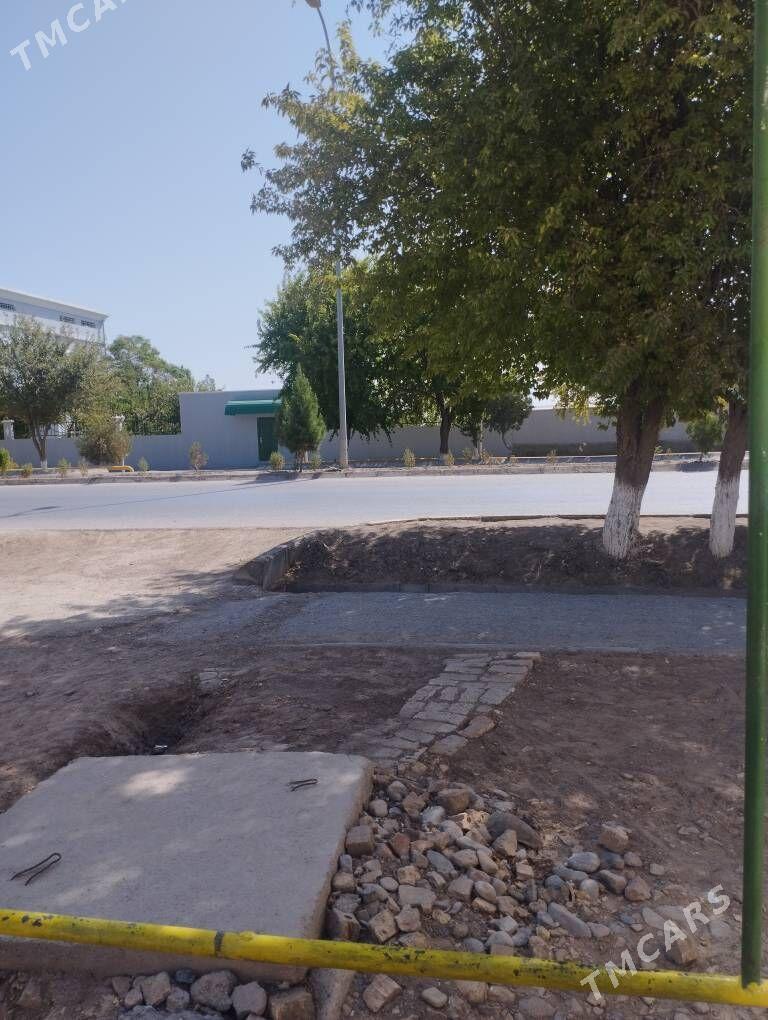 jaý satlyk - Babadaýhan - img 2