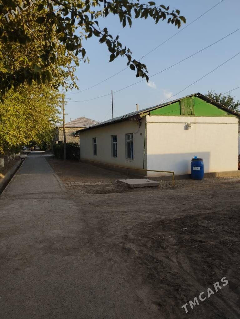 jaý satlyk - Babadaýhan - img 3