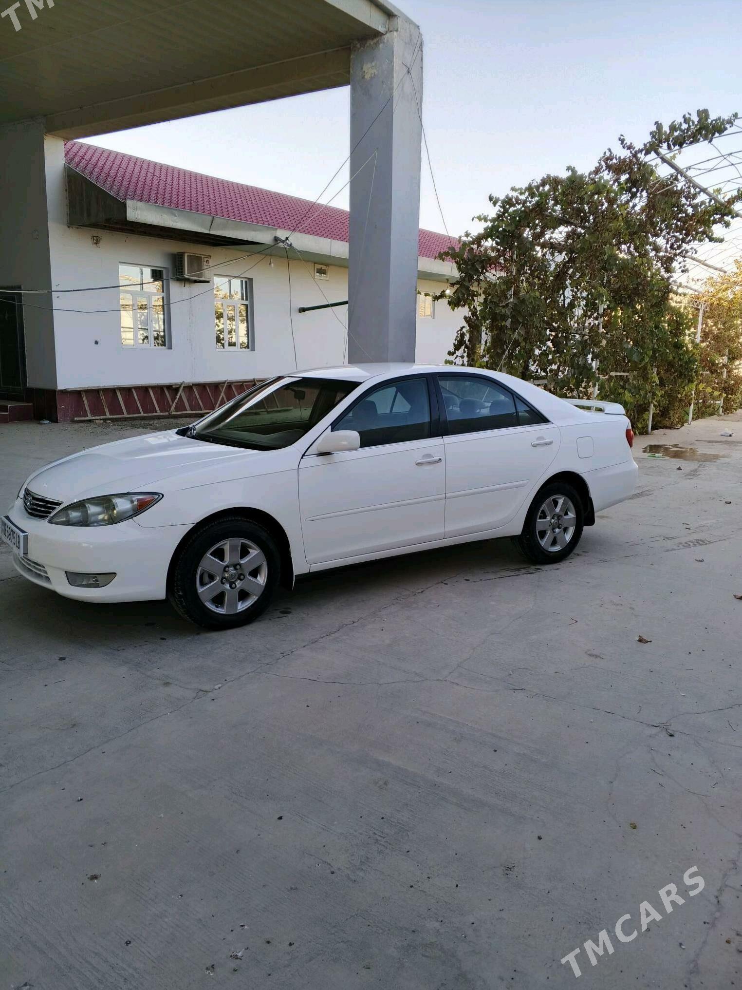 Toyota Camry 2005 - 165 000 TMT - Халач - img 5