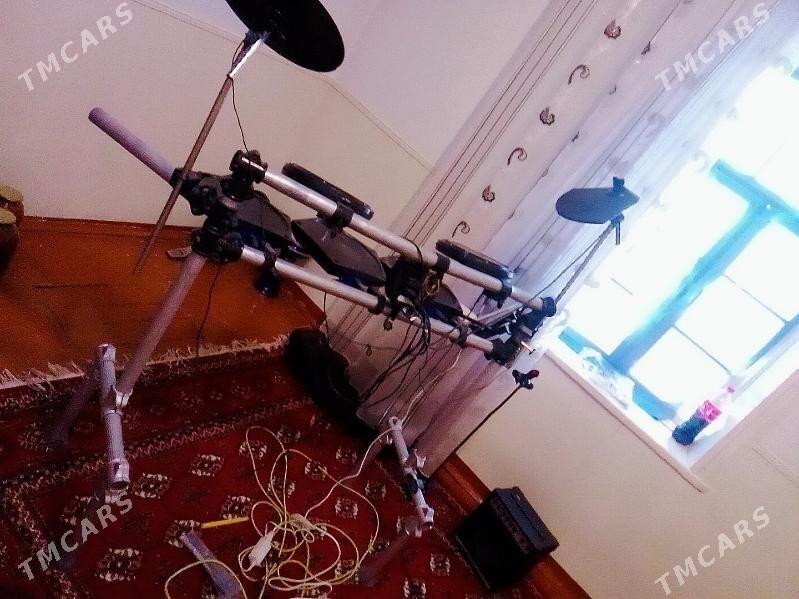 baraban udarnik - Sakarçäge - img 5