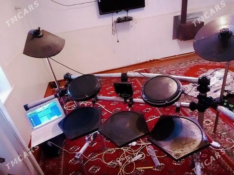 baraban udarnik - Sakarçäge - img 3