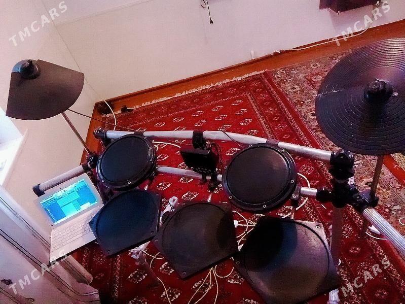 baraban udarnik - Sakarçäge - img 2