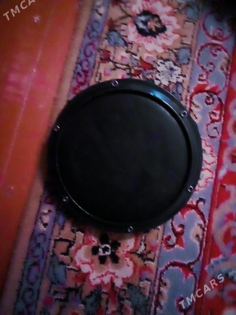 baraban udarnik - Sakarçäge - img 4