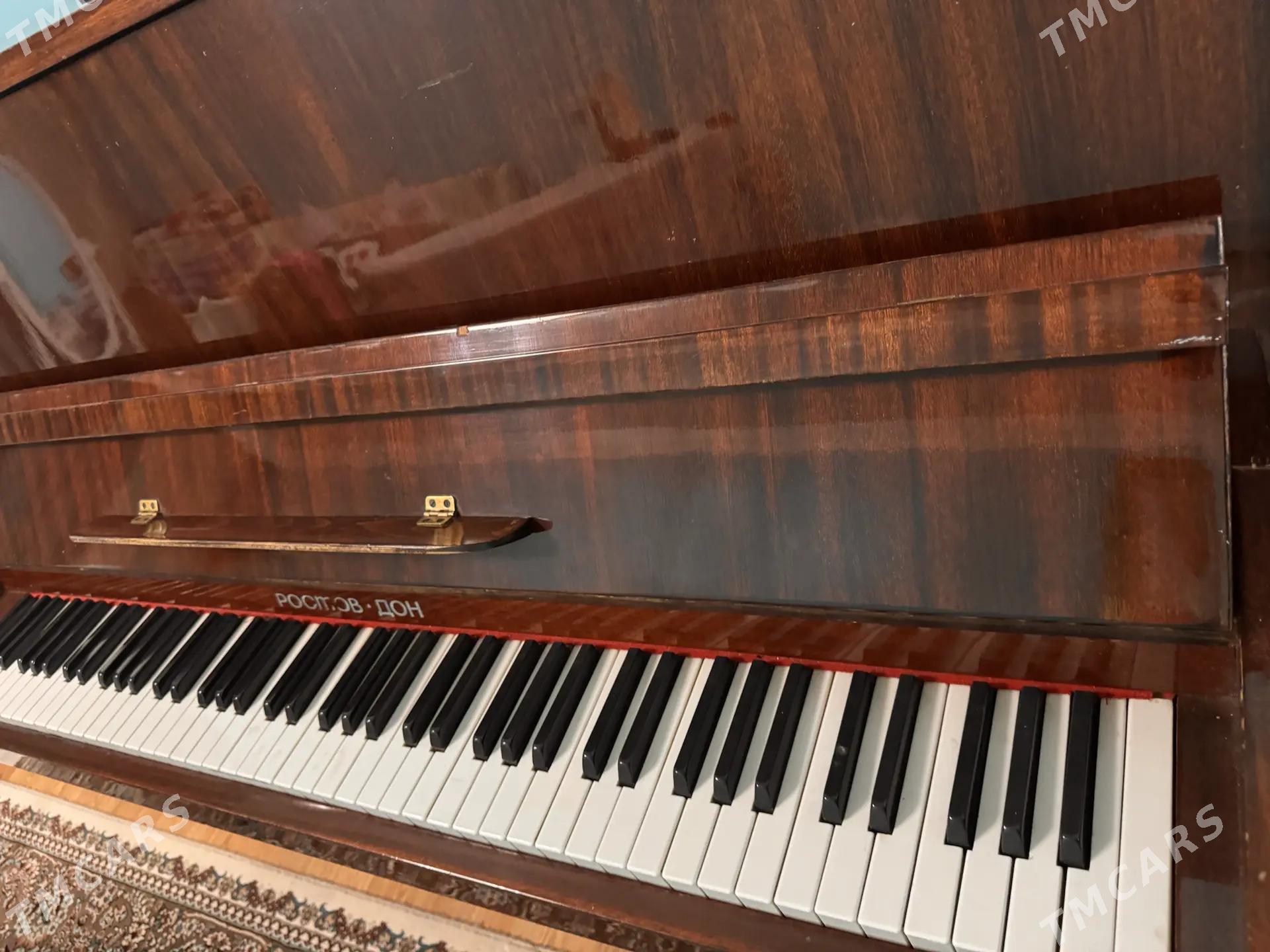 piyonina - Бедев - img 2