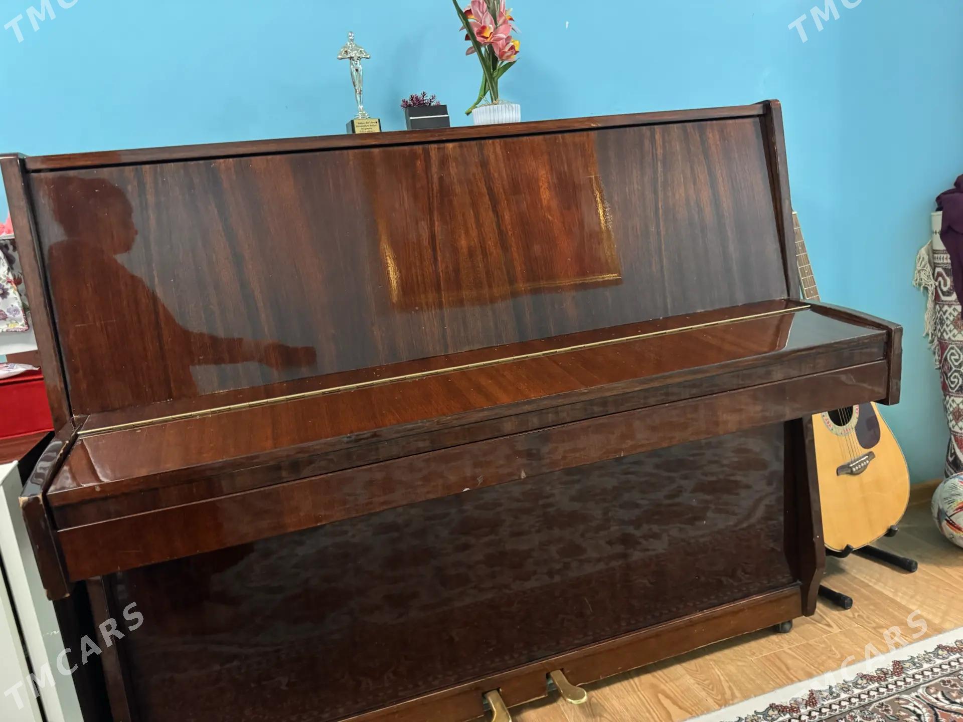 piyonina - Бедев - img 4