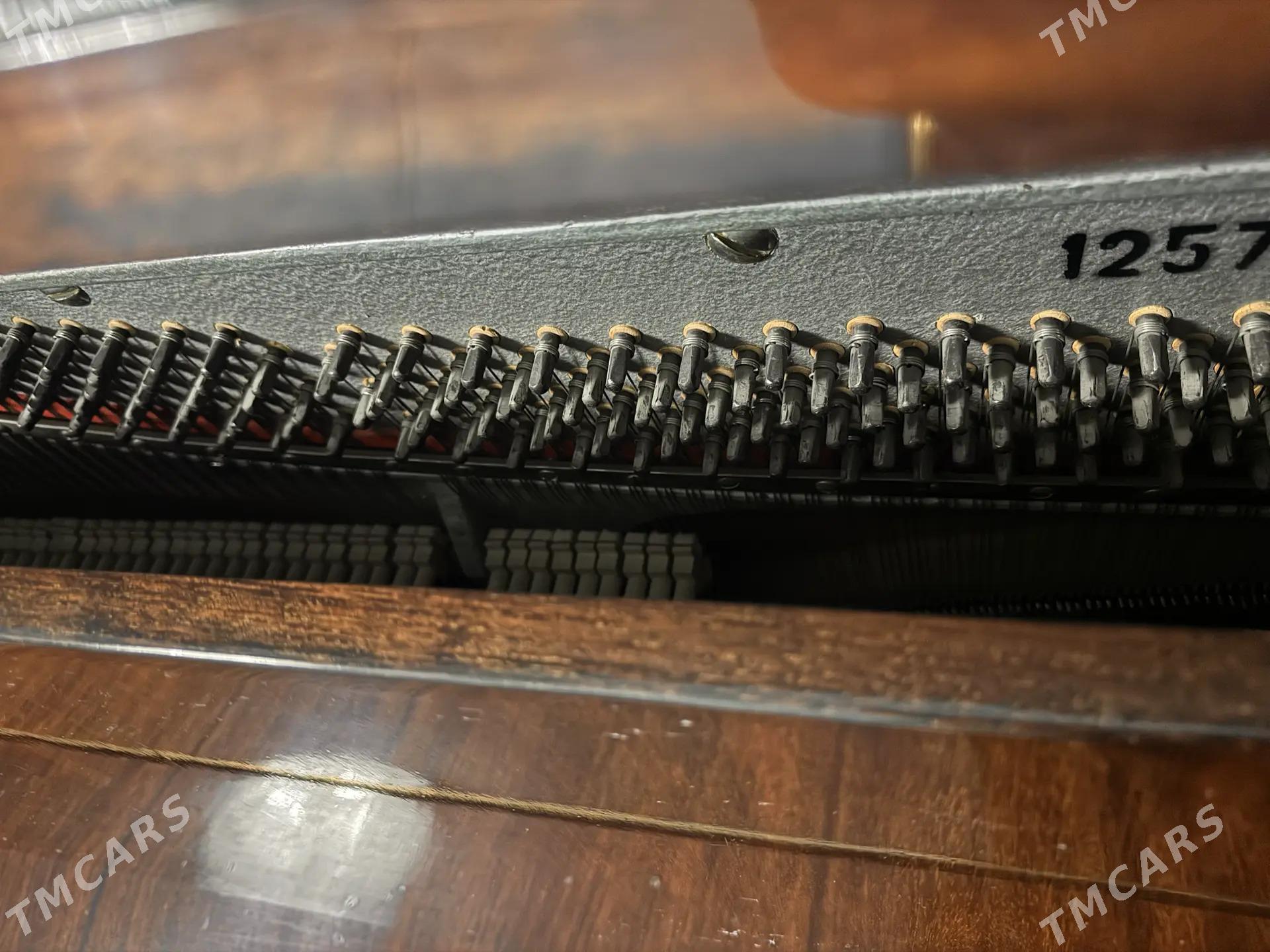 piyonina - Бедев - img 3