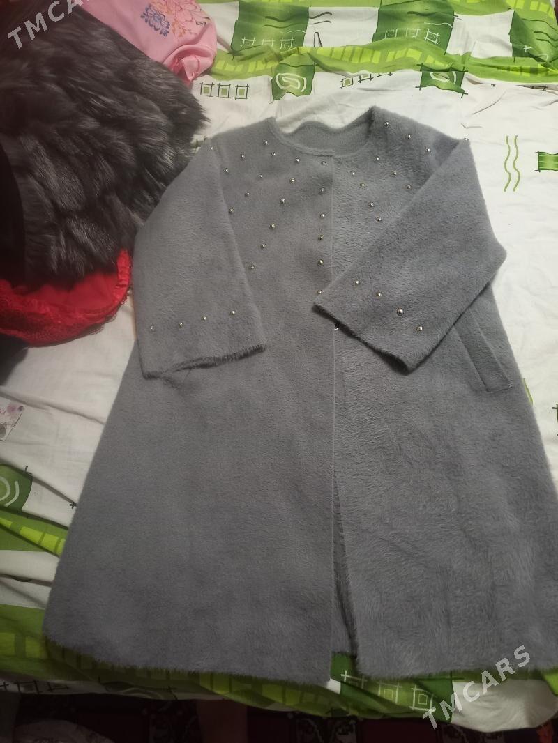 angorka jempir - Hitrowka - img 1