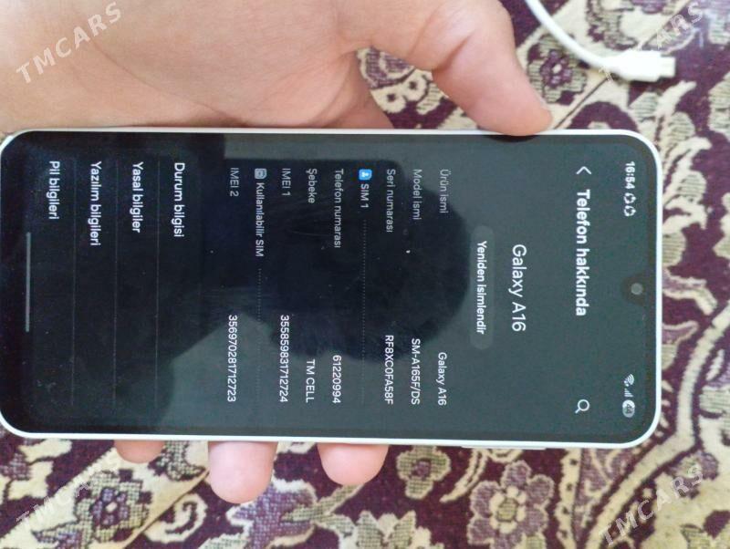 A16 - Büzmeýin - img 4