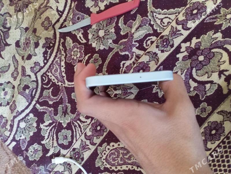 A16 - Büzmeýin - img 6