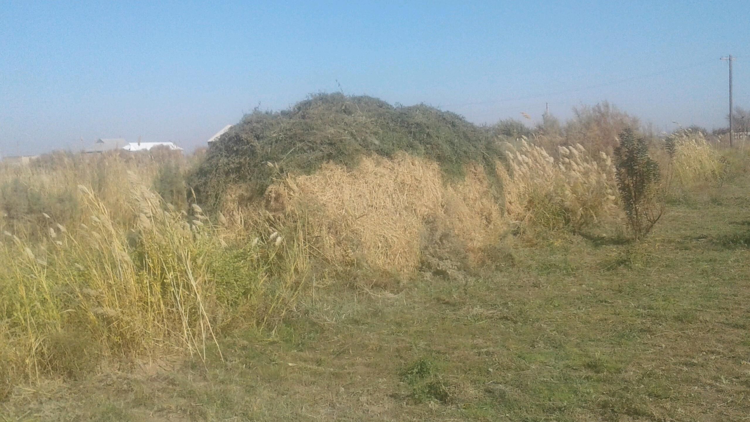 Ýorunja - Mary - img 2