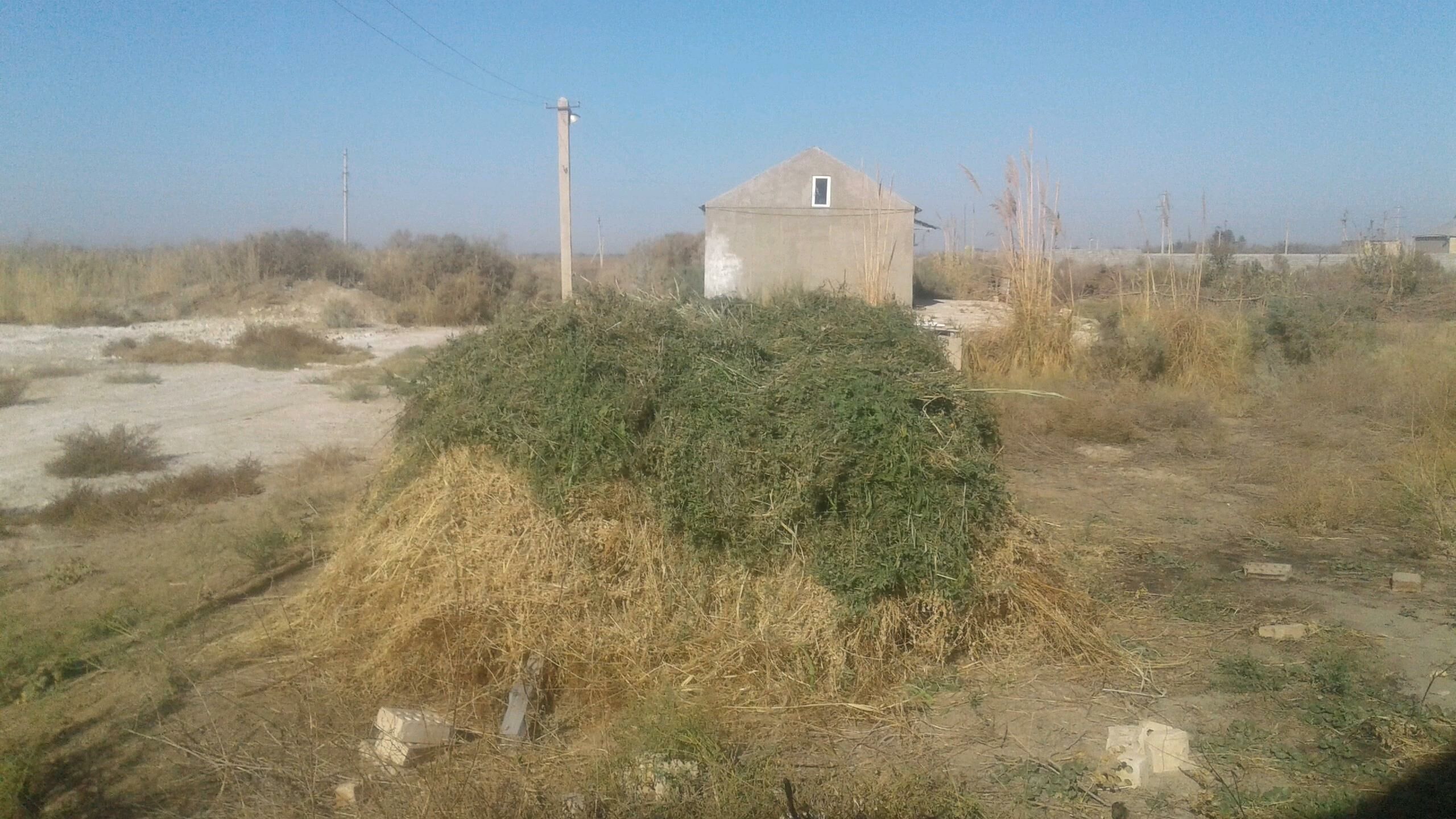 Ýorunja - Mary - img 3