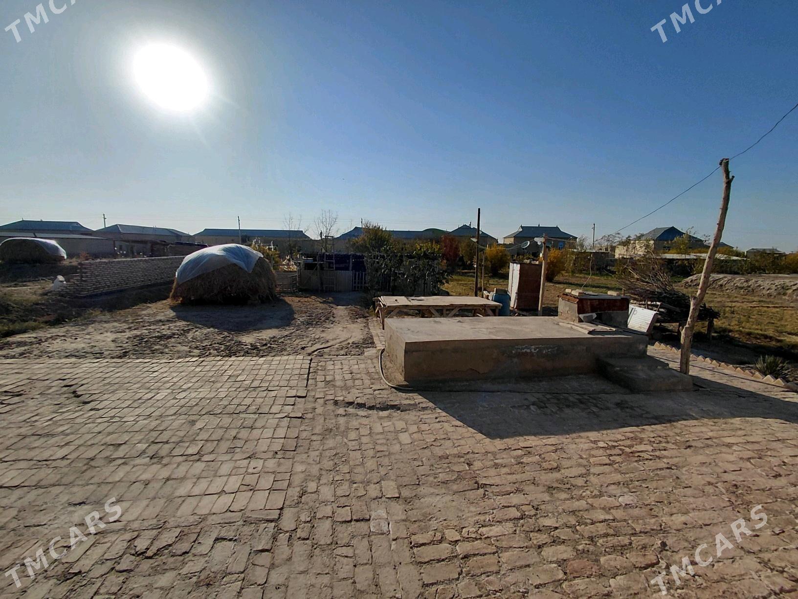 satlyk yer jay - Wekilbazar - img 5