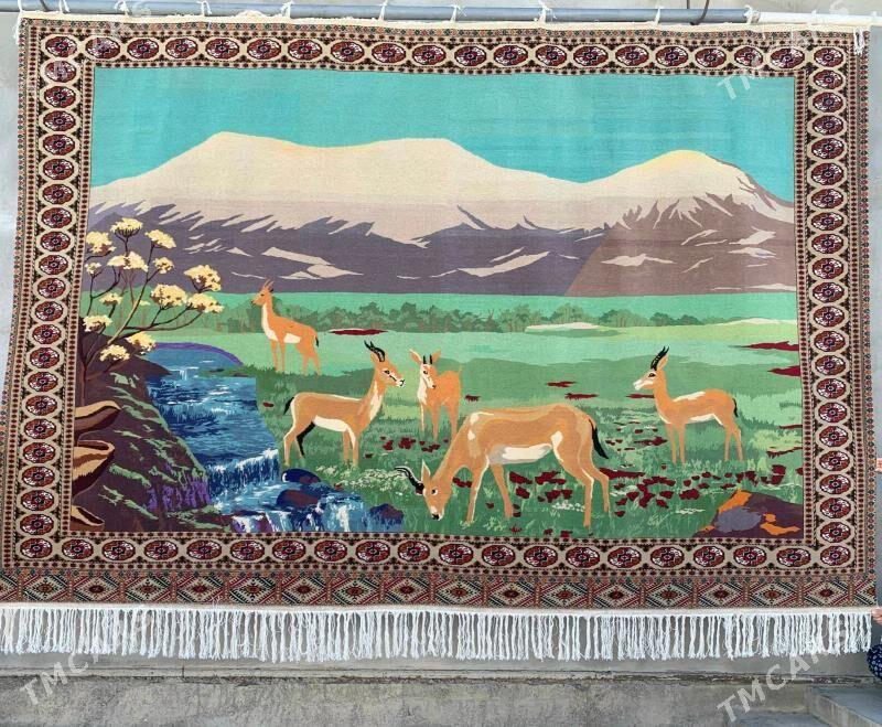 El haly - Änew - img 4