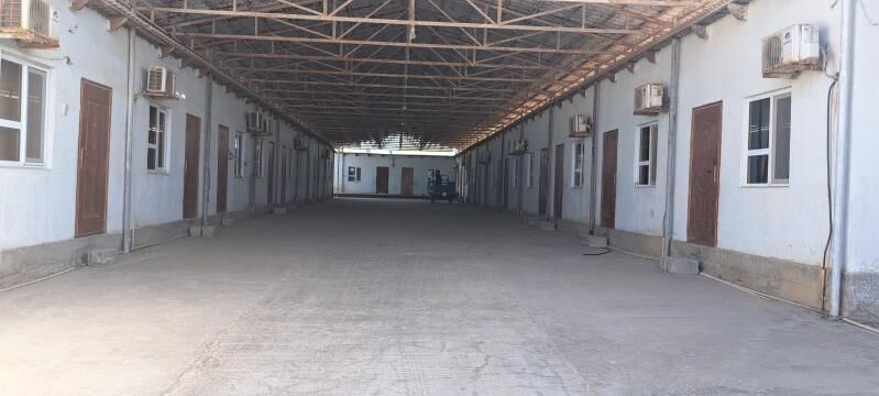 База отдыха - Hazar - img 2