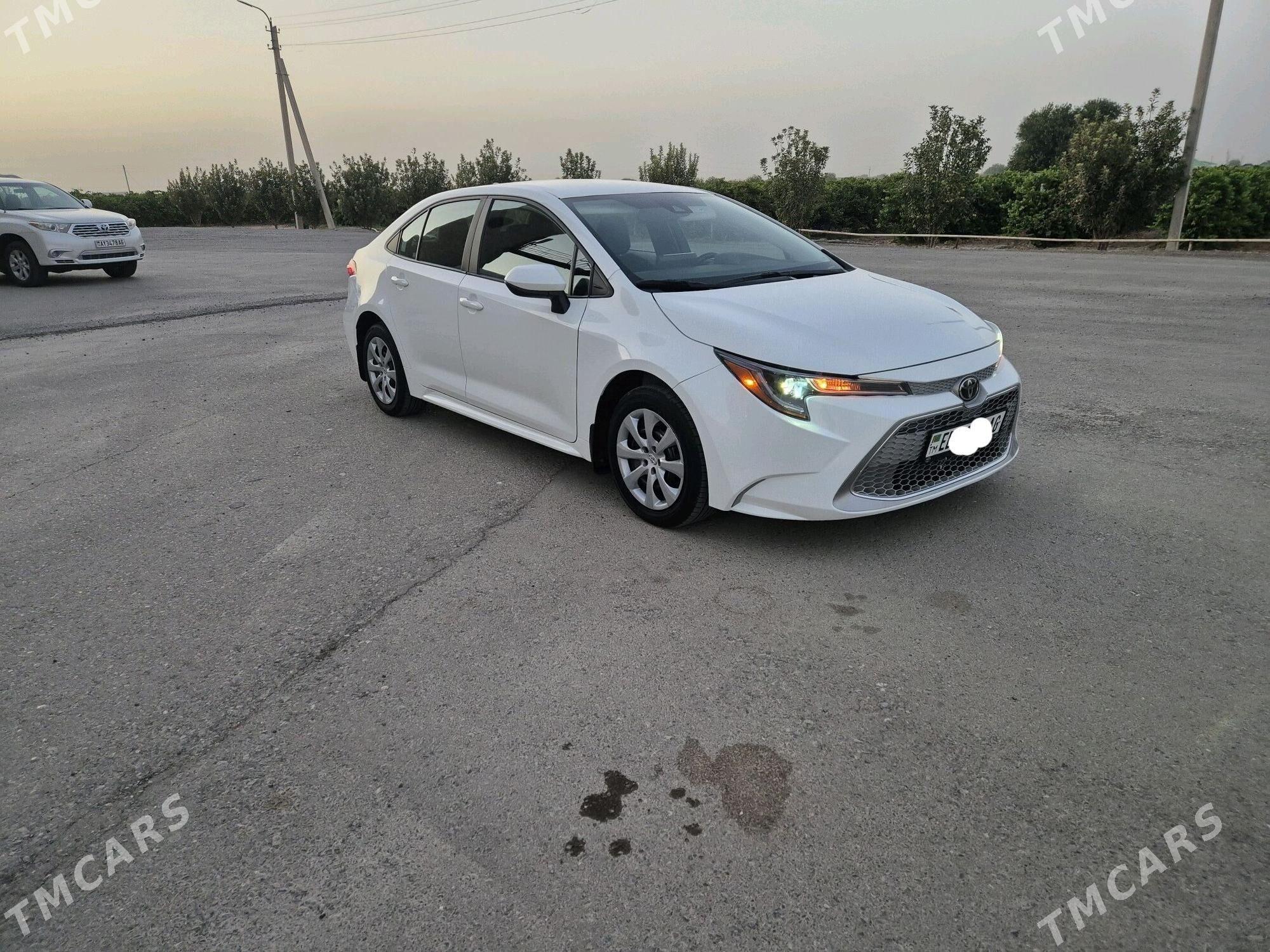 Toyota Corolla 2022 - 245 000 TMT - Büzmeýin - img 2