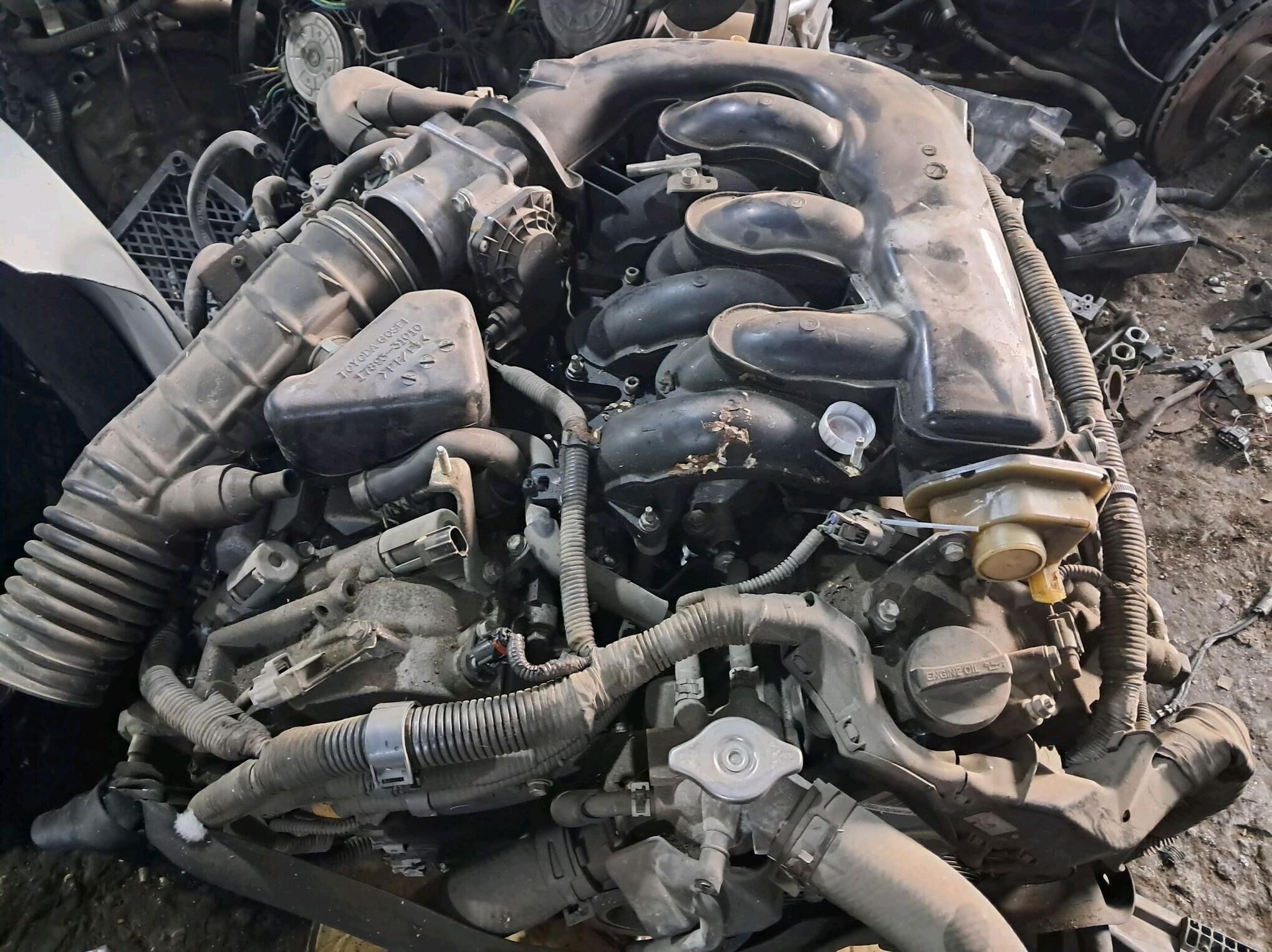 Morda Nisan misbusi  Leksus 1 000 TMT - Ашхабад - img 8